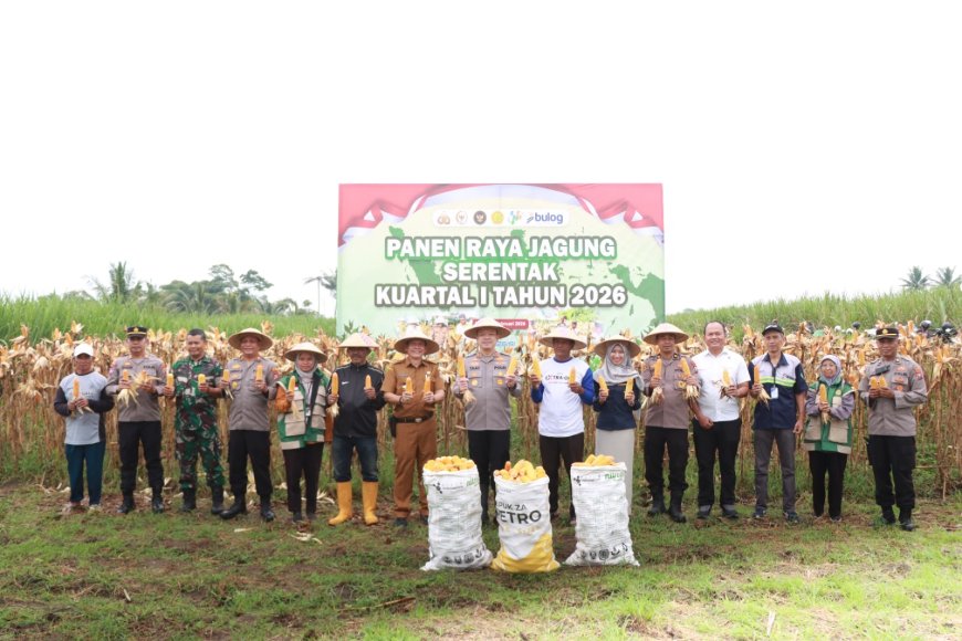 Polres Malang Panen Raya Jagung, Hasil 8 Ton untuk Dukung Stok Pangan   