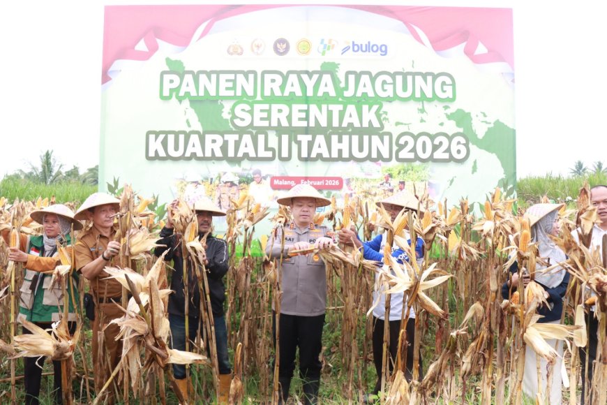 Polres Malang Panen Raya Jagung, Hasilkan 8 Ton untuk Dukung Stok Pangan